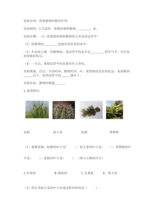 科学四年级下册第一单元植物的生长变化测试卷及参考答案1套.docx