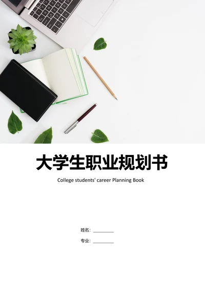 大学生职业生涯规划简单实用