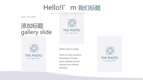 法律总结动态PPT