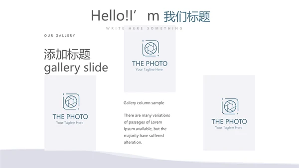 法律总结动态PPT