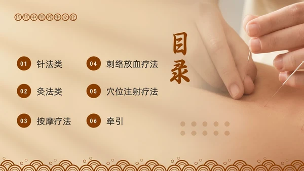 棕色简约中医适宜技术PPT模板宣传PPT动态PPT