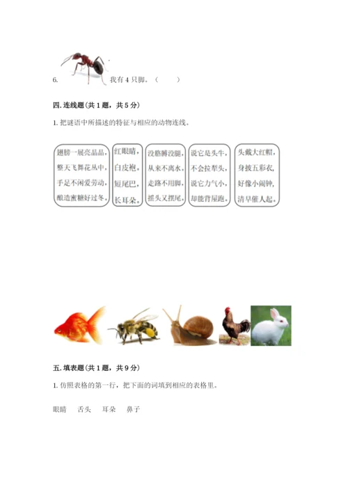 教科版小学科学一年级下册期末测试卷完整版.docx