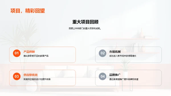 家居业务半年总结与展望