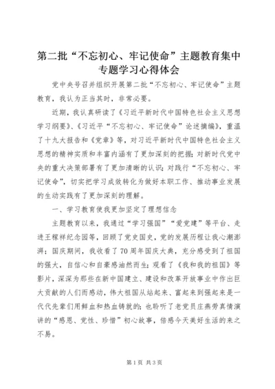 第二批“不忘初心、牢记使命”主题教育集中专题学习心得体会.docx