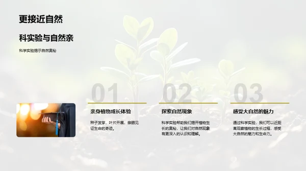 科学种植探秘
