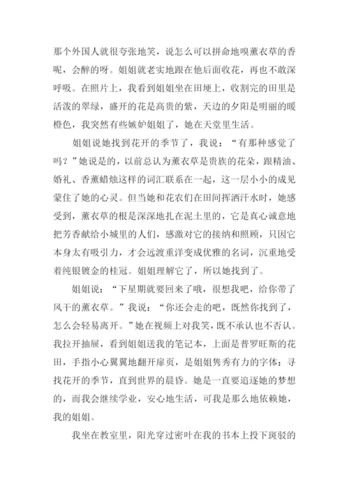 寻找花开的季节作文.docx