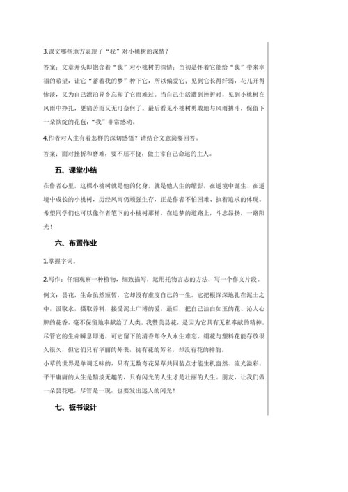 第五单元 19 一棵小桃树 教学详案