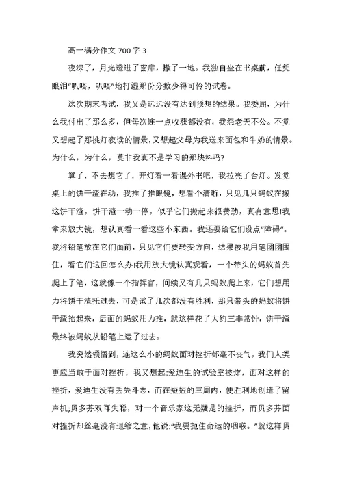 高一满分作文700字