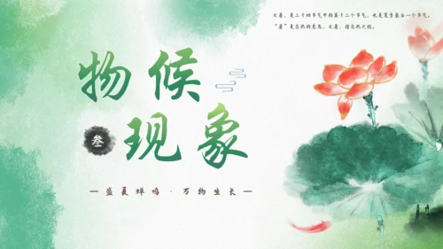 大暑节气中国风水墨荷花背景通用PPT模板