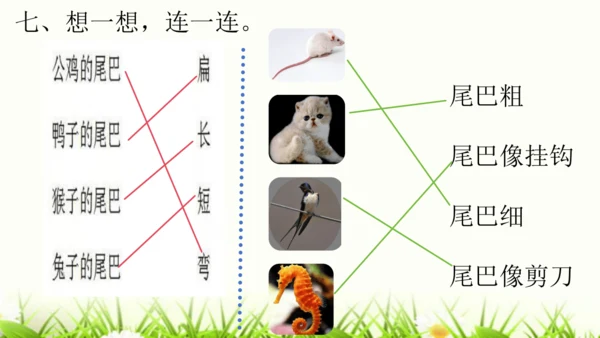 部编版一年级语文上册第八单元复习   课件