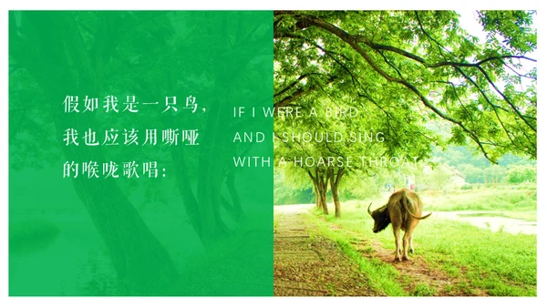 艾青文学我爱这土地通用PPT课件