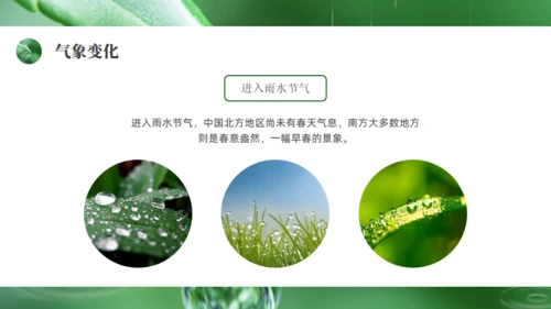 雨水绿色露水背景通用PPT模板