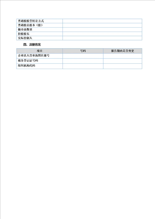 年报模板工商类