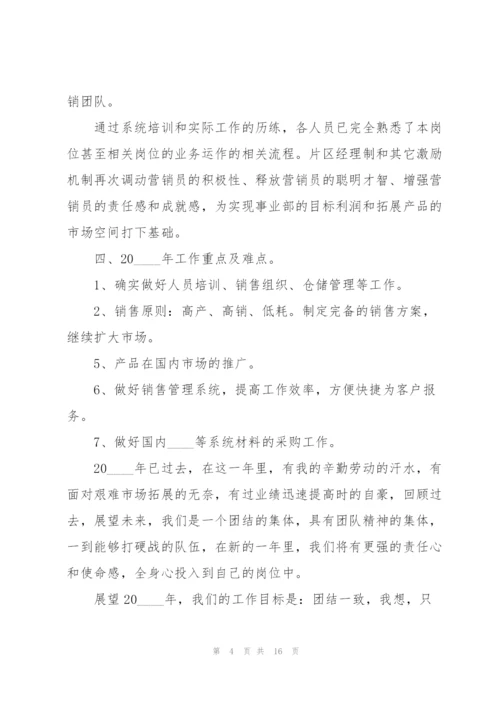 销售经理的简洁述职报告.docx