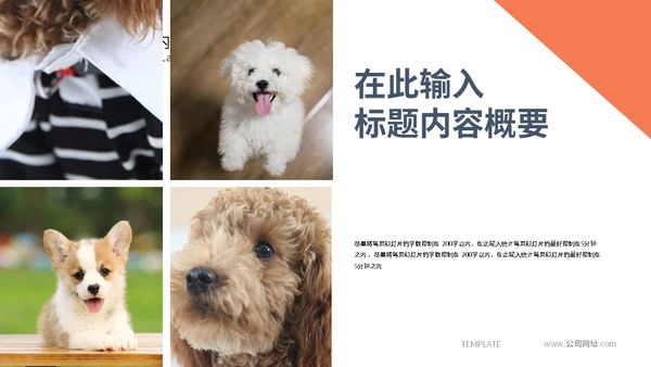 宠物乐园萌宠小狗主题通用PPT模板