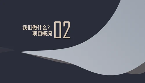 黑金创业融资商业计划书通用PPT母版