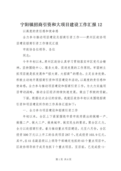 宁阳镇招商引资和大项目建设工作汇报12 (5).docx