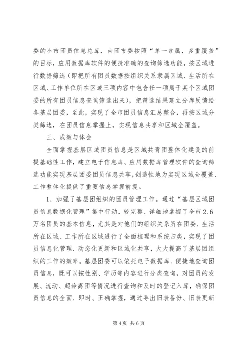 团员信息数据管理调研报告.docx