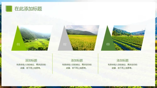 乡村振兴精准扶贫，特色农业项目计划书通用PPT模板