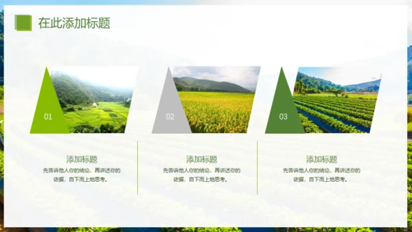 乡村振兴精准扶贫，特色农业项目计划书通用PPT模板