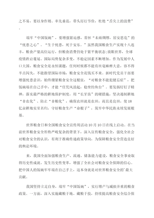 粮食安全形势与政策论文范文十篇.docx
