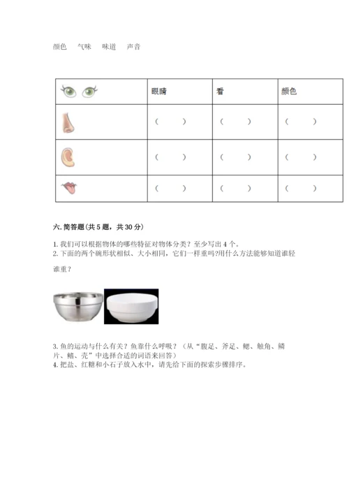 教科版一年级下册科学期末测试卷【全优】.docx