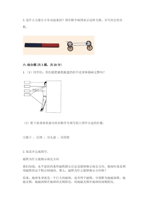 教科版小学科学二年级下册期末测试卷含答案（考试直接用）.docx