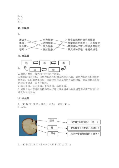 教科版科学四年级下册第一单元《植物的生长变化》测试卷a4版.docx