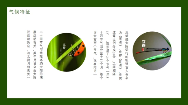 立春节气通用PPT模板