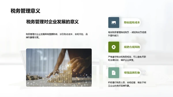 税务筹划和合规管理