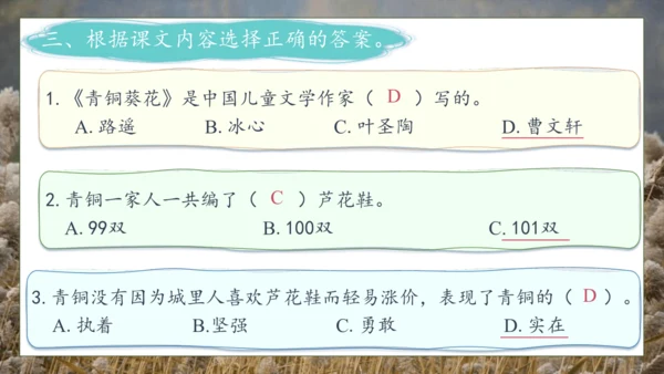 【核心素养】部编版语文四年级下册-21.芦花鞋（课件）
