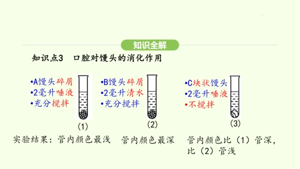 第四单元-第二章-第二节 第1课时 食物的消化课件-2024-2025学年七年级生物下学期人教版(2