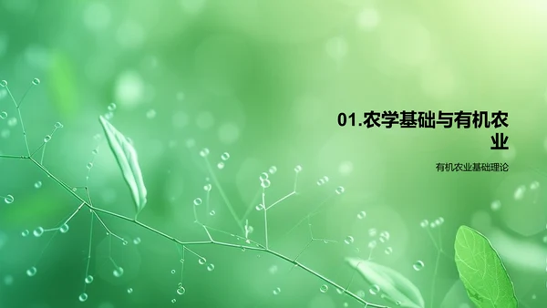 有机农业成果报告PPT模板