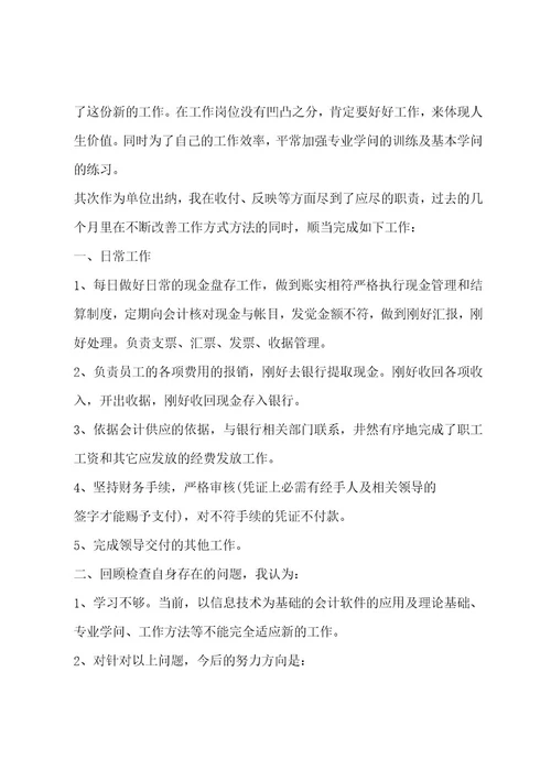 出纳试用期工作总结格式