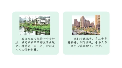 三下5 我的家在这里课件（41张PPT)（全一课）