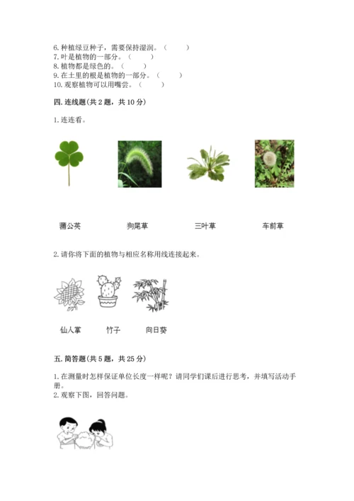 教科版一年级上册科学期末测试卷附参考答案（研优卷）.docx