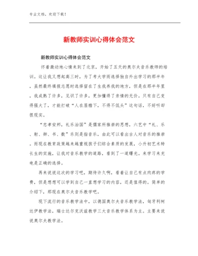 新教师实训心得体会范文范文12篇文档汇编.docx