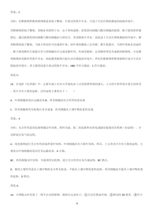 人教版2023初中生物七年级上册第三单元生物圈中的绿色植物重点知识点大全.docx