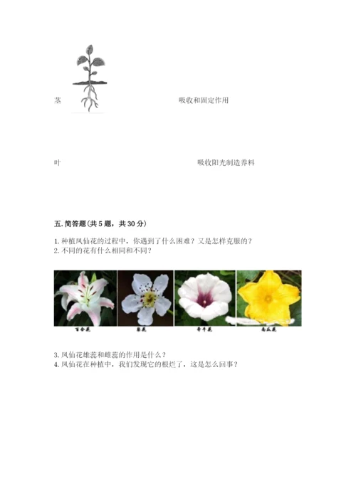 科学四年级下册第一单元植物的生长变化测试卷附答案（培优b卷）.docx