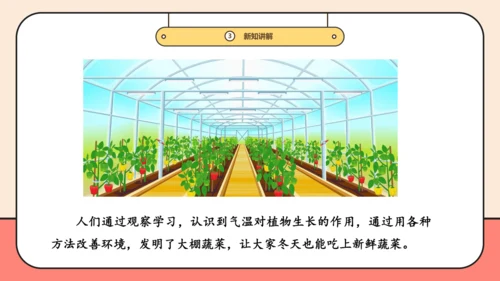 【新课标】三年级上道德与法治1.1《学习伴我成长》第一课时  课件