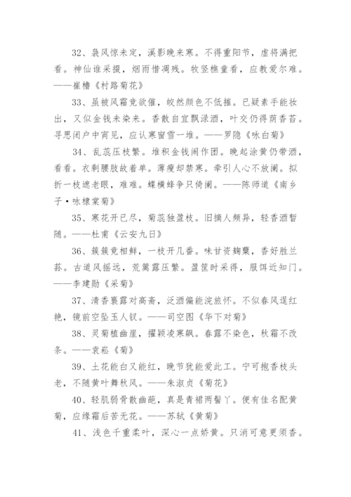 描写菊花的古诗.docx