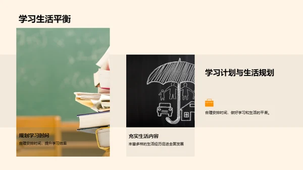 大学教育全景解析