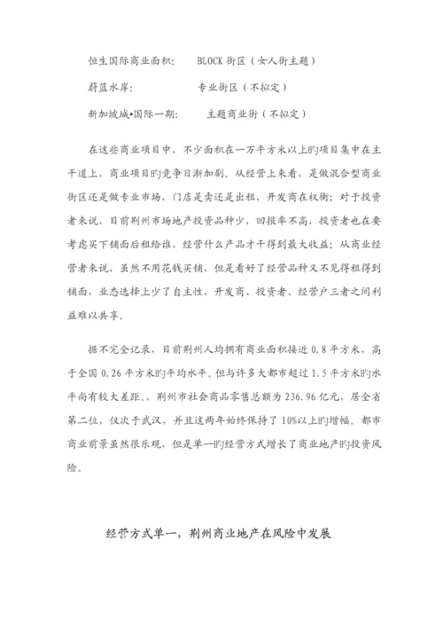 湖北荆州景湖商业地产专项项目专题策划案.docx