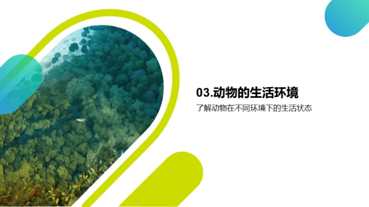 动物世界的奥秘