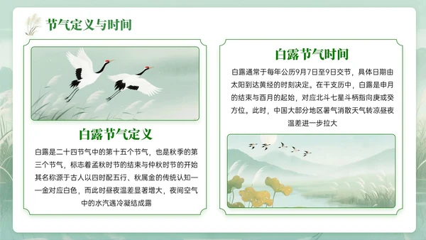 绿色中国风白露节气知识PPT模板