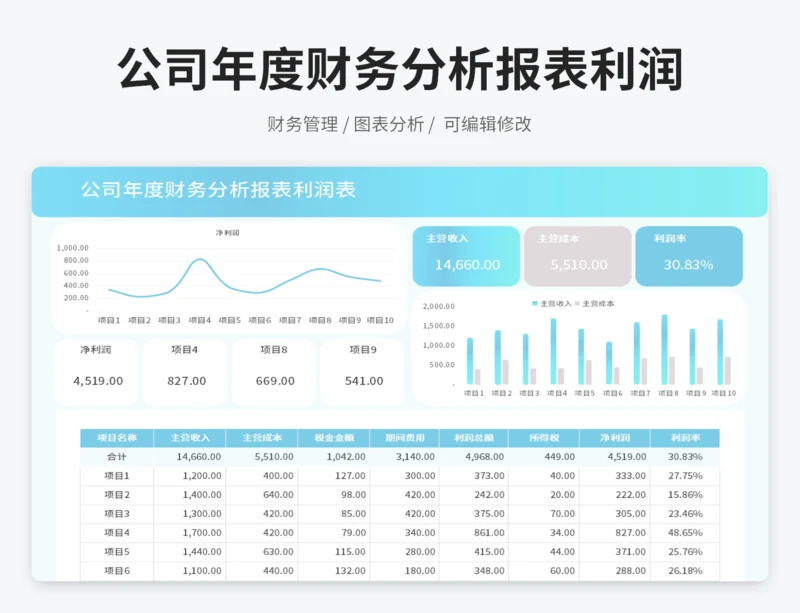 公司年度财务分析报表利润表