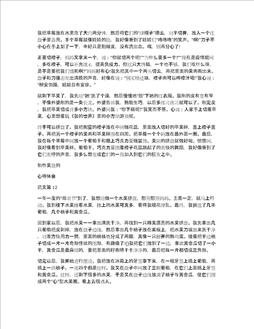 制作果盘的心得体会范文13篇