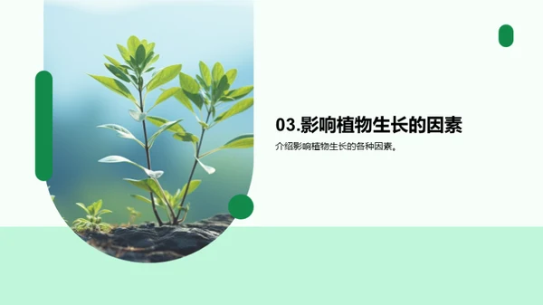 揭秘植物生长奥秘