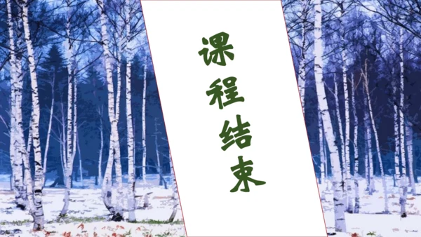 【核心素养】部编版语文四年级下册-11.白桦 第1课时（课件）