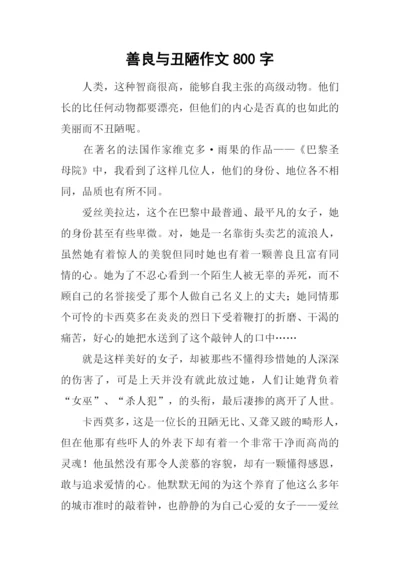 善良与丑陋作文800字.docx